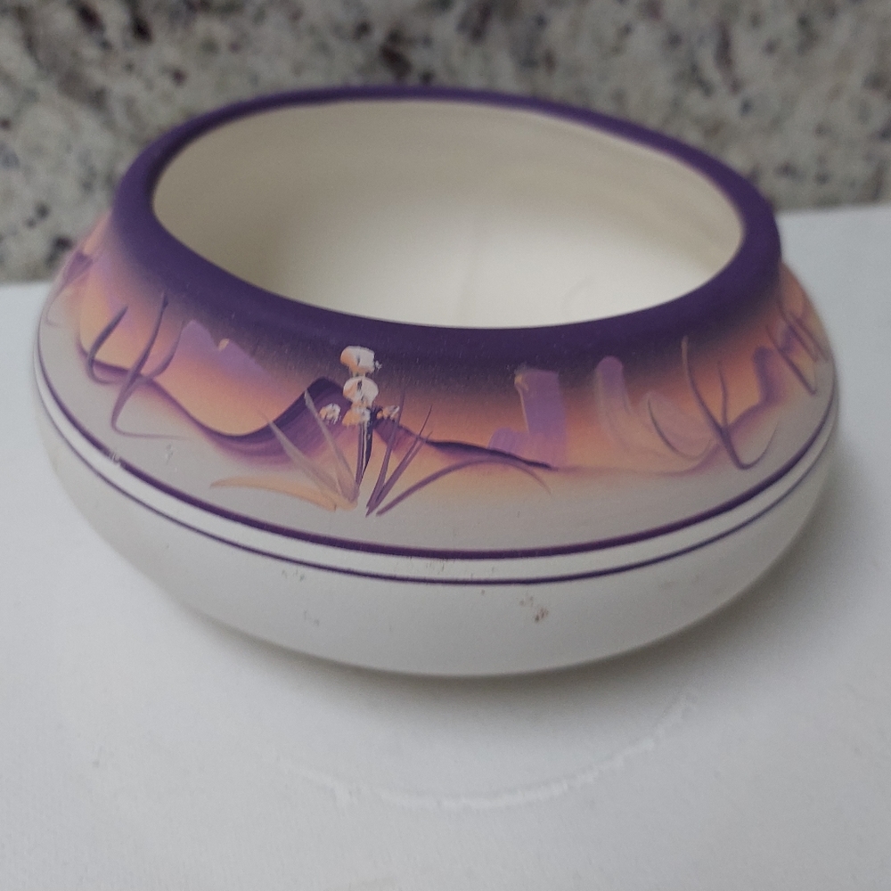 New West Southwestern Pottery Hand Painted Decotative Round Bowl Vsse